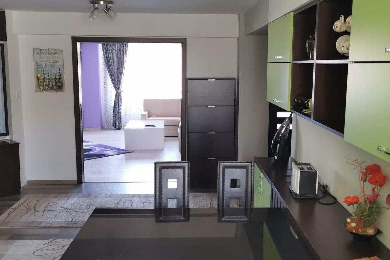 Luxury Apartment With Two Bedrooms And Large Living Room, 100 Square Meters, City Center オラデア エクステリア 写真