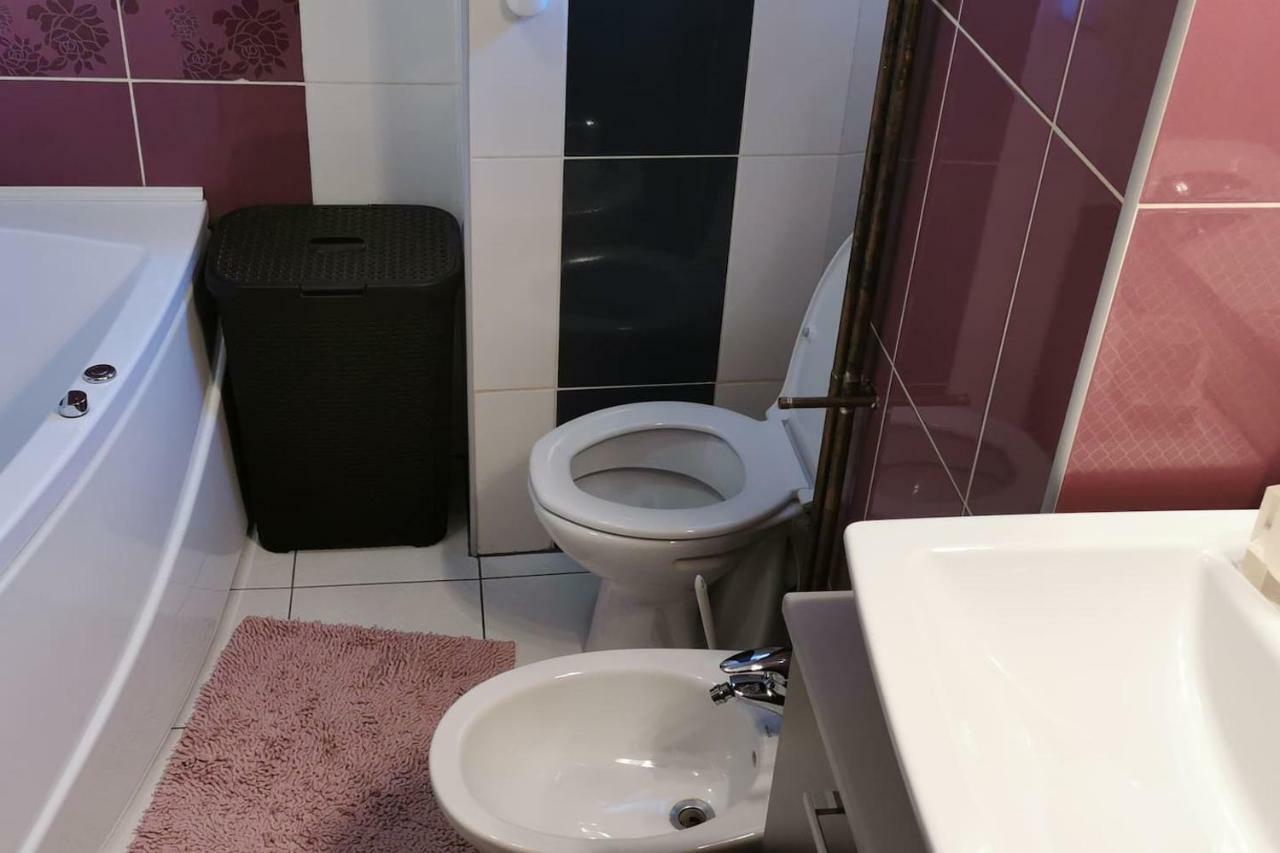 Luxury Apartment With Two Bedrooms And Large Living Room, 100 Square Meters, City Center オラデア エクステリア 写真