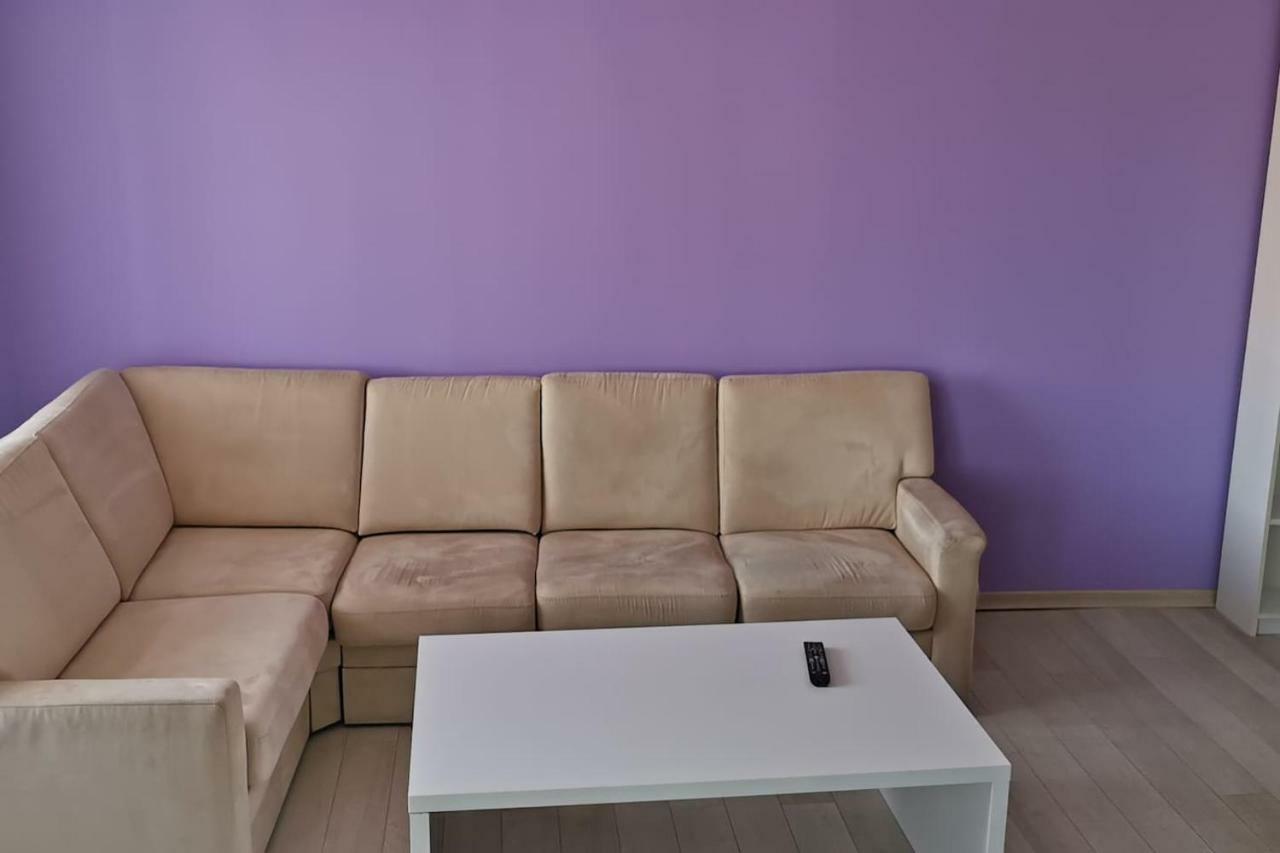 Luxury Apartment With Two Bedrooms And Large Living Room, 100 Square Meters, City Center オラデア エクステリア 写真